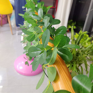 Tang Si Artificial Rose <b>Leaf</b> Vines 200cm Silk Flower <b>Decorative</b> Greenery <b>Wall</b> Hanging Plant Strip - Product Image 3