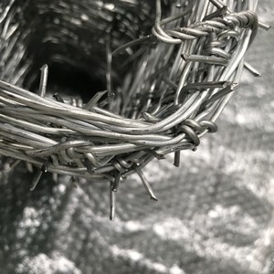 स्थिर गुणवत्ता और सस्ती कीमत गर्म डूबा जस्ती कांटेदार तार - Product Image 4