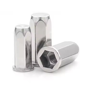 Nửa lục giác mù đinh tán hạt thép không gỉ Đầu Phẳng - Product Image 6