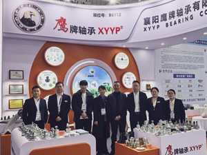 ตลับลูกปืนเม็ดกลม0013 Agri <span class=keywords><strong>6</strong></span>รูสำหรับฟาร์มรถแทรกเตอร์พรวนดินคราด - Product Image 6