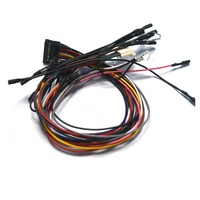 Kabel Harness Joystick DuPont 2.54 Kustom, Terminal NH2.5 187 Plug Spring-Lock Cold Crimp untuk Konsol Game