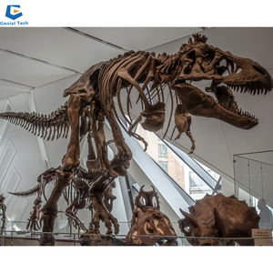 <span class=keywords><strong>Esqueleto</strong></span> de <span class=keywords><strong>dinosaurio</strong></span> de tamaño <span class=keywords><strong>real</strong></span> para parque temático, <span class=keywords><strong>esqueleto</strong></span> de <span class=keywords><strong>dinosaurio</strong></span> fósil jurásico, de tamaño <span class=keywords><strong>real</strong></span>, a partir de 2017 - Product Image 2