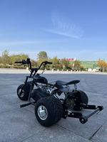 Kart à pédales tout-terrain pour adultes, 212cc, quatre temps, à essence, avec frein à disque hydraulique en acier, mini-tricycle à transmission par chaîne – Vente chaude