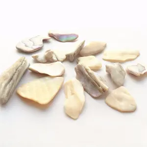 Crushed Mother Of Pearl Shell Chips For Terrazzo Flooring