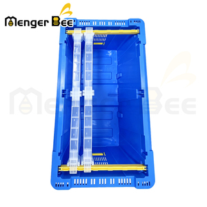 Dual Queen Rearing Plastic Bee Transport Box Ventilated Nucleus Hive Case with Frame Support Grooves for Bee Colony Moving - Product Image 2