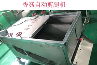 Hoogproductieve automatische champignonstengel-snijmachine, champignonpoottrimmer, grote capaciteit voor champignonverwerkingsbedrijven