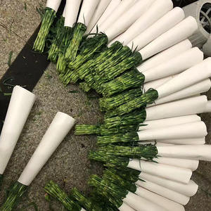 ดอกคาร์เนชั่นผสมสีเหลืองสีแดงตัดดอกคุณภาพสวนสดสำหรับร้านดอกไม้และร้านค้า - Product Image 2