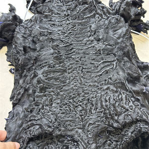 Fabriek Groothandel Levering <span class=keywords><strong>Karakul</strong></span> Schapenhuid <span class=keywords><strong>Karakul</strong></span> Lamsvel Pelt <span class=keywords><strong>Karakul</strong></span> Baby Lamsbont - Product Image 2