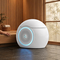 Toilette intelligente de luxe avec télécommande, bidet électronique, chasse d'eau automatique, forme sphérique, modèle œuf, en promotion
