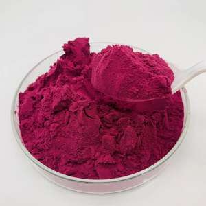 Polvo de pitaya roja liofilizada Polvo de jugo de fruta de dragón Polvo de fruta de dragón rojo orgánico - Product Image 1