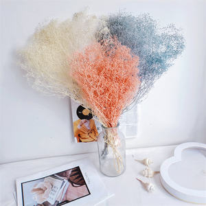2024 Yunnan Factory conserva millones de estrellas pequeñas gypsophila <span class=keywords><strong>paniculata</strong></span> babysbreath flor blanca para la decoración del hogar de la boda - Product Image 5