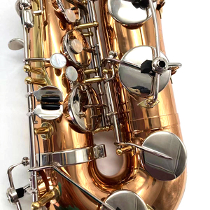 簡単にプレイできる人気モデルOEMおよびODM製造アルトサックス - Product Image 4