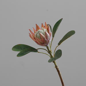 Centre de Table de Mariage Soie Artificielle Roi Protea Fleur Géante Roi Blanc Protea Cynaroides - Product Image 4