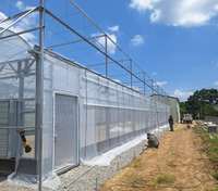 Serre multi-chapelles en verre pour la culture de fleurs et légumes – Système de serres agricoles