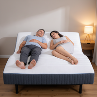 Matelas Électrique Intelligent Moderne Respirant et Réglable avec Moteur Silencieux, Housse Amovible, Angles Personnalisables – Idéal pour Chambre, École, Hôpital (Vente en Gros)