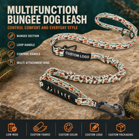 Nouvelle Saison : Laisse pour chien imprimée avec section élastique, anneaux de contrôle et mousqueton pivotant pour les accessoires de promenade quotidiens