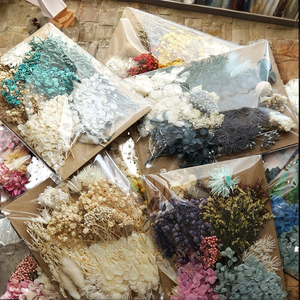 Vente en gros pas cher prix bricolage fleurs sèches matériel sac réel naturel séché eucalyptus bougie parfumée faisant Nail Art cadre photo - Product Image 2