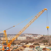 Grúa Torre Articulada DAHAN DH650 de 35m, 65m, 45 toneladas, Altura 60m, 1 Año de Garantía, Motor PLC, 650t.m
