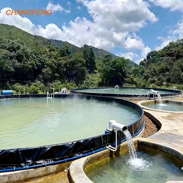 60 Mil HDPE Geomembranes Liner for Seawater and Freshwater Fish Ponds Hdpe Ditch Liner LDPE LLDPE PVC in Indonesia