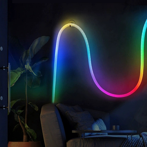 Vente en gros 360 degrés nuit best-seller nouveau néon LED respectueux de l'environnement respectueux de l'environnement changement de couleur - Product Image 3