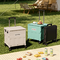 Chariot de courses pliable portable à 2 roues, panier en plastique PP avec poignée pour la livraison d'épicerie et le rangement en cuisine