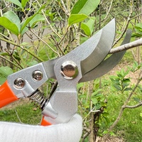 DIY snoeischaar met Bypass-systeem, staal, antislip handvat, voor tuin, druiven, bloemen en bomen.