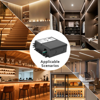 Driver de gradation Triac à découpe de phase ELV/MLV 60W-300W pour éclairage LED à commutation 96W 120W 192W 180W 288W 200W 300W Alimentation