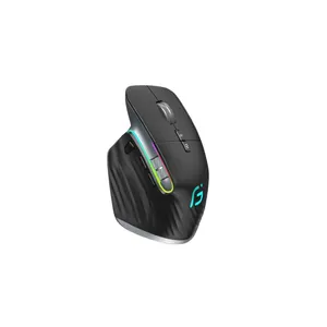 2.4G Sans Fil Rechargeable Souris RGB Ergonomique 5 Vitesse 4000DPI Type C Gaming Mouse Pour Macbook Air Ordinateur Portable Tablet BT Souris