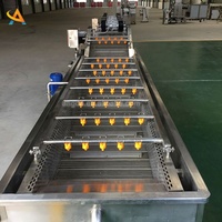 Fabriek die machines voor het reinigen en steriliseren van groenten en fruit levert