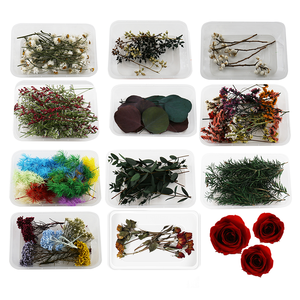 En vrac <span class=keywords><strong>pas</strong></span> <span class=keywords><strong>cher</strong></span> feuille eucalyptus rose <span class=keywords><strong>fleurs</strong></span> séchées bricolage bougie faisant boîte multi-forme jour de la terre de pâques - Product Image 6