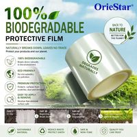 Film de protection vert en rouleau, 100 % biodégradable, matériau de protection de surface transparent