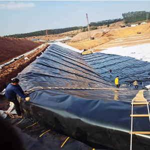 Géomembrane en HDPE résistante à la corrosion et imperméable, revêtement de barrage de déchets miniers, lagune minière - Product Image 3