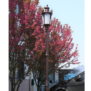 Villa al aire libre lámpara de jardín lámpara de césped de jardín estilo europeo doble cabeza 3 metros paisajismo municipal poste alto calle impermeable - Product Image 5