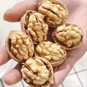 도매 호두 Yunnan 말린 껍질 얇은 피부 종이 껍질 대량 가격 중국 호두 껍질 호두 유기농 호두 - Product Image 6