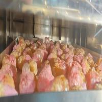 Compacte automatische huishoudelijke vriesdroger met elektrische verwarming en pomp, capaciteit 20kg/uur voor fruit, vlees en groenten