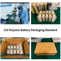 Baterai Solid State 3.7V 340mAh 801630 untuk Obeng Listrik & Mainan Pintar AI Bersertifikasi CE 500 Siklus