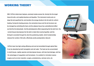 निकासी बिक्री सर्जिकल लेजर लिपोसक्शन 1470 लिपोपडा लेजर बायो लिफ्ट एंडो फाइबर लेजर 980 1470nm एंडोजर लिसक्शन - Product Image 5