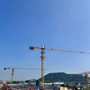 Grue à tour de projet de transport professionnel avec certificat CE - Product Image 5