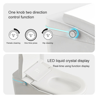 Sanitaires de luxe, toilettes intelligentes, sanitaires, économiques en eau, automatiques, intelligentes, avec siège surélevé