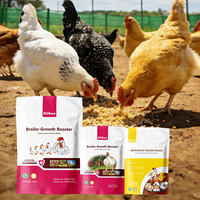 Poudre de Prémélange Premium Vitboo pour la Prise de Poids des Poulets de Chair avec Vitamines et Acides Aminés de Qualité Alimentaire pour Stimuler la Croissance et Améliorer l'Efficacité Alimentaire