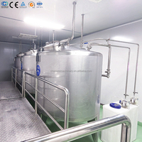 Ligne de production complète clé en main pour le remplissage de jus de mangue, de raisin et de pêche pour petites entreprises