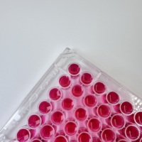 Bioland Vente en gros Laboratoire Ps Stérilisé 8 Bandes 96 Profonde Multi Puits Elisa Plaque Pour Test Elisa