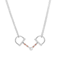 Collier personnalisé en forme de mors de cheval en acier inoxydable 316L, étanche, hypoallergénique, bijou en forme de mors de cheval