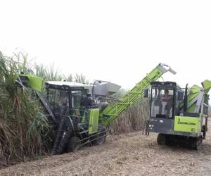 Cosechadora de Caña de Azúcar Industrial ZOOMLION AC60B, Máquina Automática para Cortar Caña de Azúcar, Cosechadora de Caña de Azúcar para Campos Agrícolas - Product Image 6