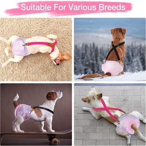 2 Piezas de Pañales de Lujo de Algodón para Perras con Tirantes, Reutilizables, para Cachorros, Bandas Protectoras para el Vientre - Product Image 5