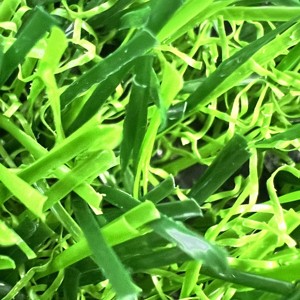 Césped <span class=keywords><strong>Artificial</strong></span> Realista y Suave de 30 mm - Césped Sintético Resistente a los Rayos UV para Jardín y Paisajismo - Fácil Instalación - Product Image 2