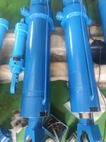 Cylindres hydrauliques bidirectionnels personnalisés de 40/50/63/80 mm de diamètre, chromés durs, en fonte, à double effet, à double anneau de levage