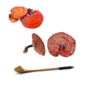 Miracle BoosterWhitening-extracto de seta Reishi, cápsula de polvo de madera de lluvia Ganoderma Lucidum, mejora la pigmentación - Product Image 3