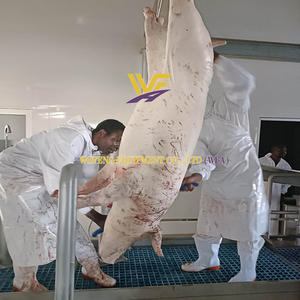 Prix d'usine Abattoir 50 - 100 Porcs Par Jour Équipement De Ligne D'abattage pour Machine D'abattoir - Product Image 3