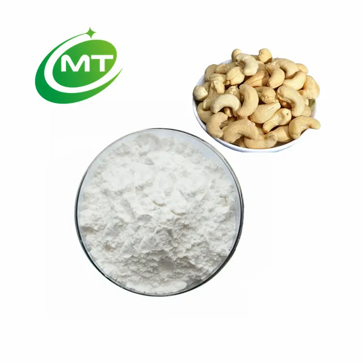 ISO22000 Factory Supply Good Flavor Low Price 100%Pure Natural Free Sample Cashew Milk Powder